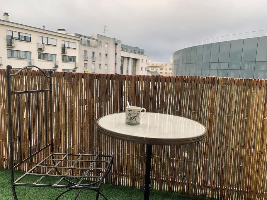Le Saint Hel, Magnifique T2 En Face Du Tnb * Rennes